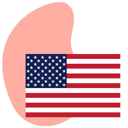 usa flag